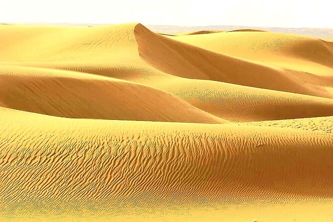 Private Watching Sunrise in the Desert - Early Morning Tour - Who will enjoy this tour most