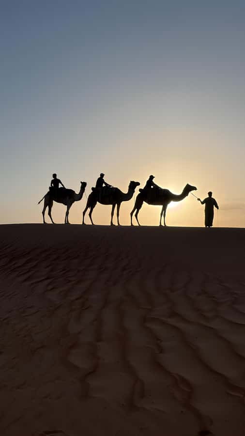 Safari World Zoo and Wahiba Sands with Sunset - Quick points to know before booking