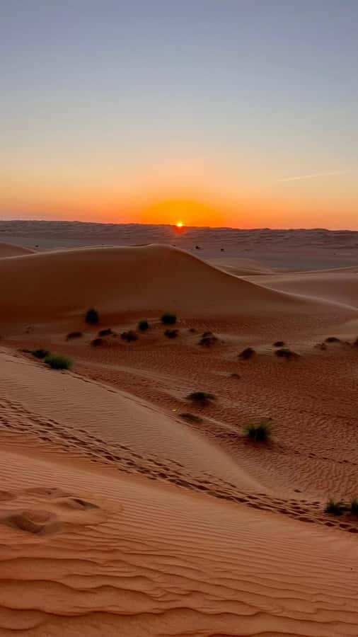 Safari World Zoo and Wahiba Sands with Sunset - Dinner at camp after dark