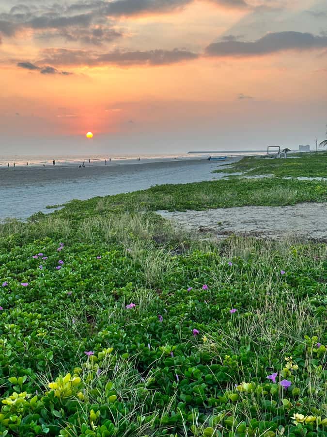 Salalah a combination of East and West tour - Key points at a glance