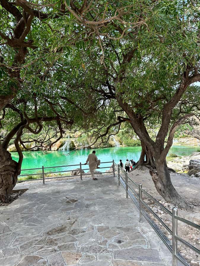Salalah a combination of East and West tour - Wadi Derbat and the eastern scenery