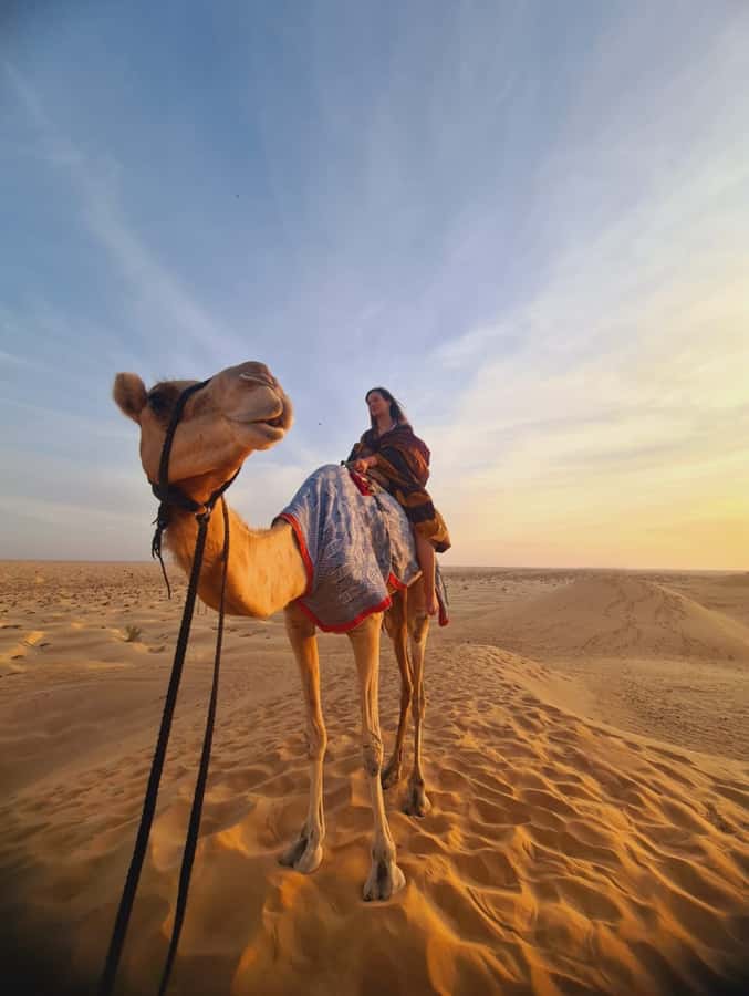 Salalah: Bedouin Tent Night Stay in Desert + Sunset Safari - From Salalah to the Qara Mountains