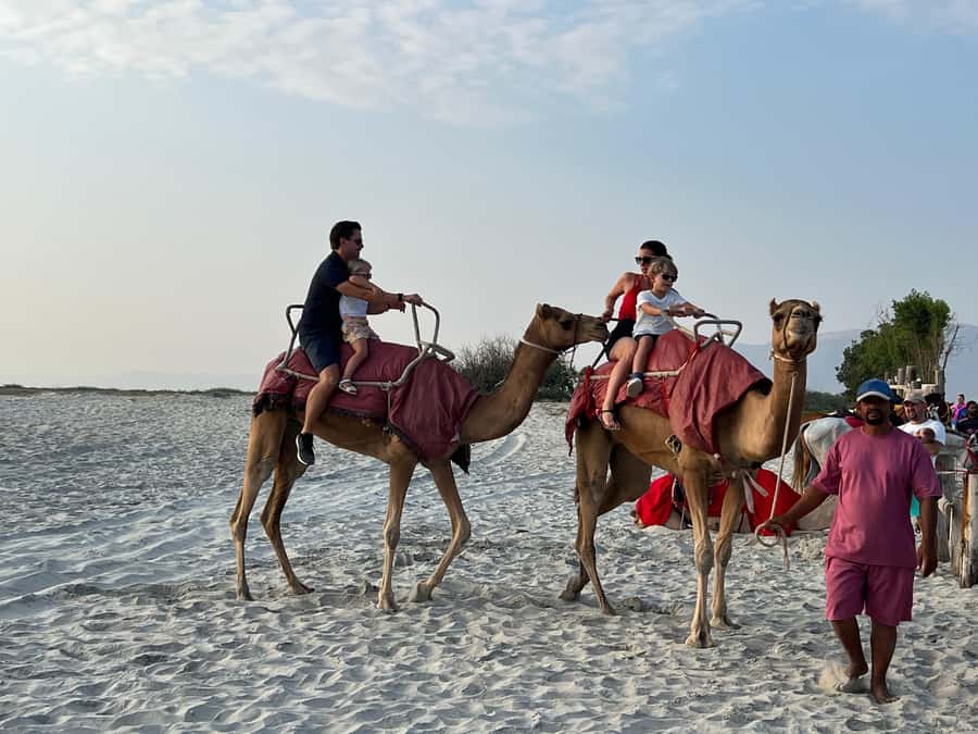 Salalah: Camel Riding on the Beach - Key things to know before you book