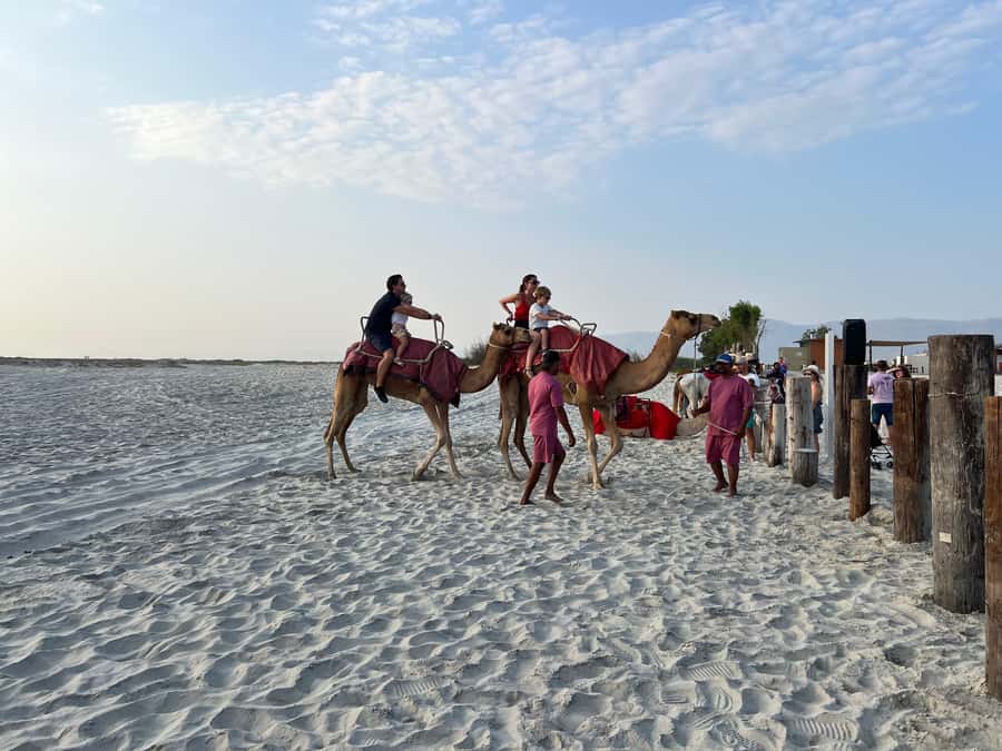 Salalah: Camel Riding on the Beach - A quiet ride beside Salalah’s Indian Ocean