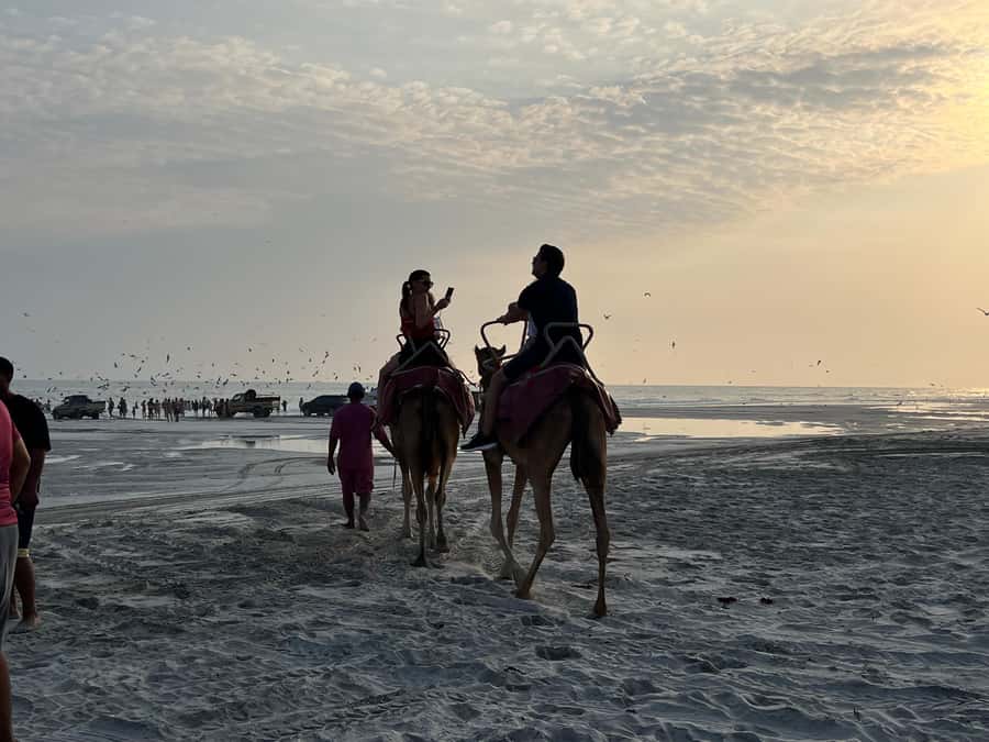 Salalah: Camel Riding on the Beach - Sunset over the ocean