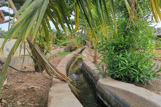 Salalah City private tour - all-inclusive sightseeing tour - Al-Husn Souq and the Scent of Frankincense
