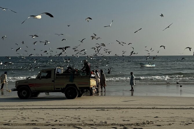 Salalah City Tour: Discover Salalahs Treasures with a Local Guide - Plantation Roads and Fresh Coconut Water