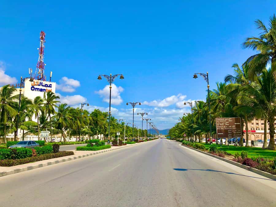 Salalah City Tour: Discover the Best of Oman’s Coastal Gem - What this $45 Salalah city tour actually gives you