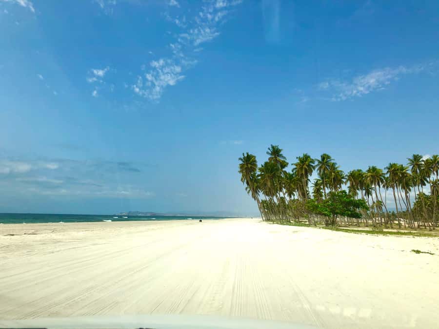 Salalah City Tour: Discover the Best of Oman’s Coastal Gem - Starting at the Sultan Qaboos Mosque
