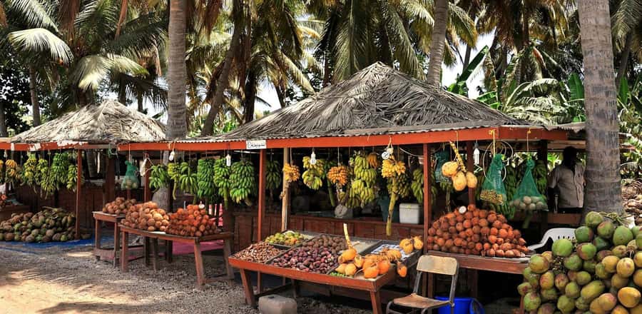 Salalah City Tours - Shopping At Al Hafah Souq