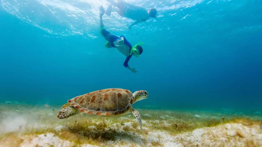 Salalah: Discover Mirbat's Snorkeling Paradise Guided Tour - From Salalah to Mirbat by hotel pickup