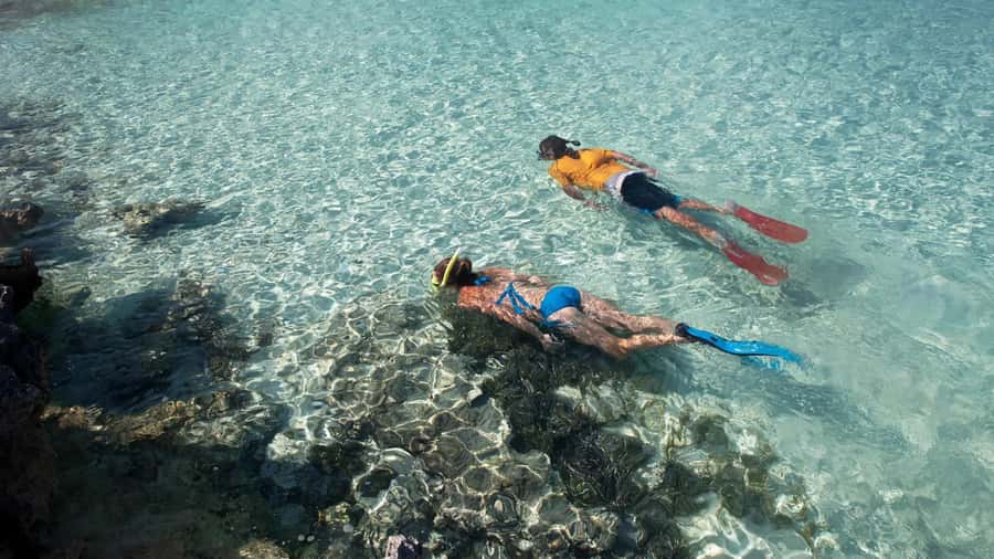 Salalah: Discover Mirbat's Snorkeling Paradise Guided Tour - A family-friendly outing with sensible limits