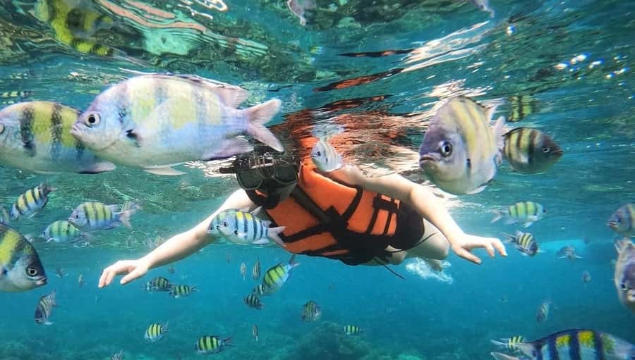 Salalah: Discover Mirbat's Snorkeling Paradise Guided Tour - Reaching Eagle Bay and preparing for the water
