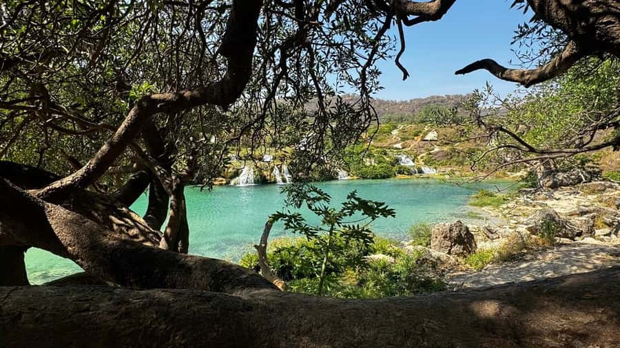 Salalah East Adventure: Waterfalls, Mountain & Safari - What the private 4x4 adds