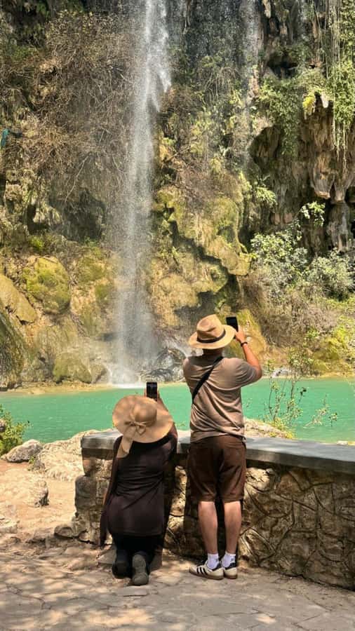 Salalah East Tour: Taqah , Darbat waterfall,camel's baobab - Camels, baobabs, and sinkholes