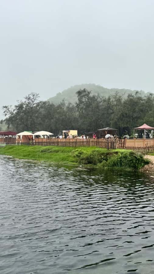 Salalah East Tour: Taqah , Darbat waterfall,camel's baobab - Taqah brings a welcome change