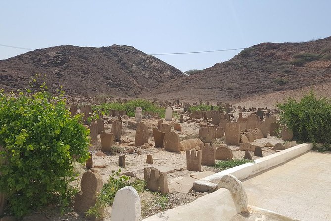 Salalah East & West Combination(Salalah tours):Oman Shore excursions - Inside Taqah Castle