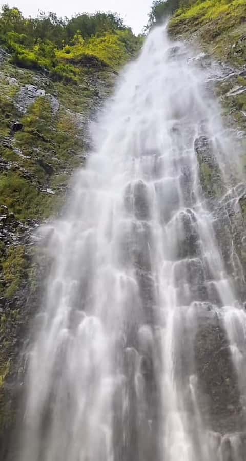 Salalah: Half-Day Guided Tour to Wadi Darbat & Mount Samhan - Key details at a glance