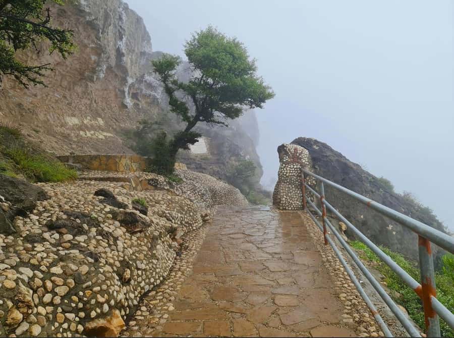 Salalah: Half-Day Guided Tour to Wadi Darbat & Mount Samhan - Comfortable transport improves a short itinerary