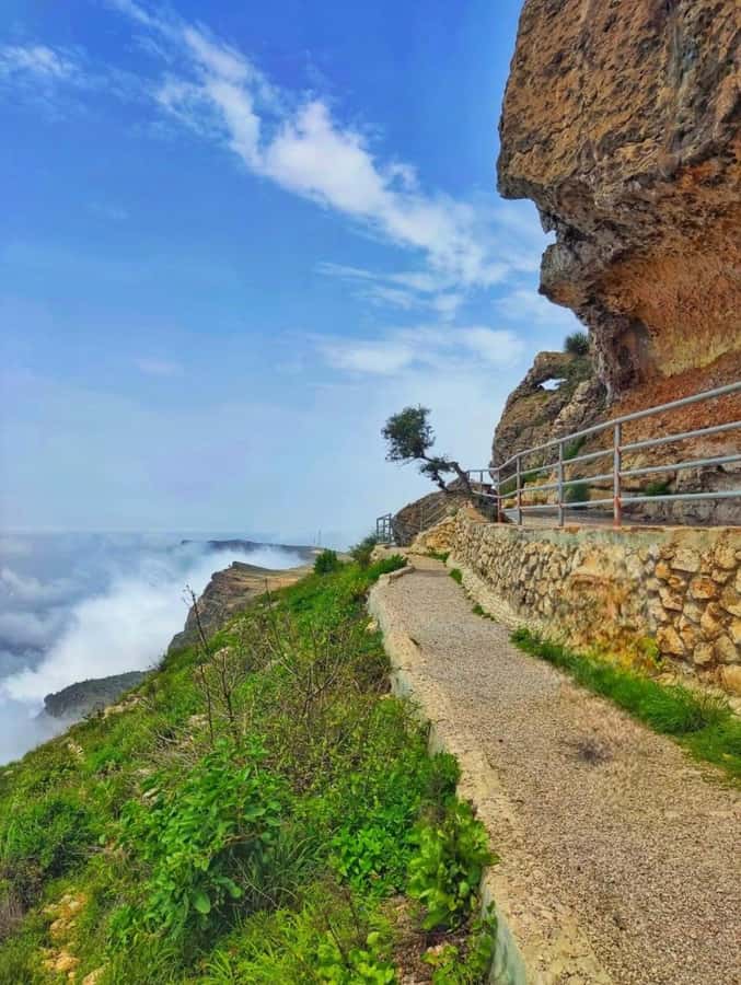 Salalah: Half-Day Guided Tour to Wadi Darbat & Mount Samhan - Who should book this Salalah outing?
