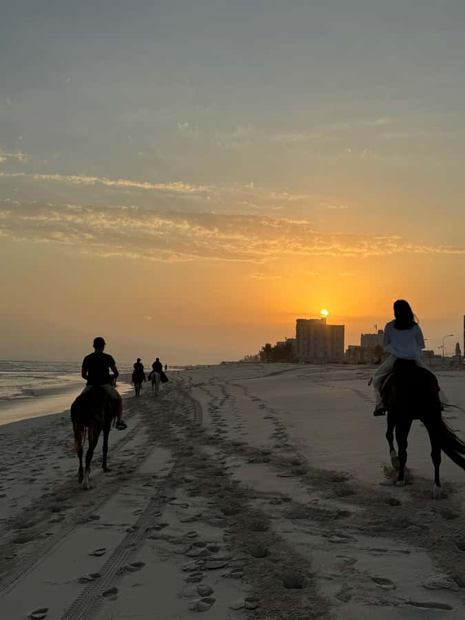Salalah: Horse Riding by the Beach - Is $108 per person good value?