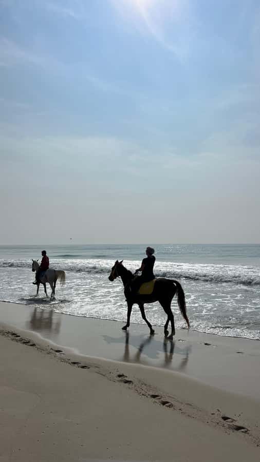 Salalah: Horse Riding by the Beach - Clothing, footwear, and comfort