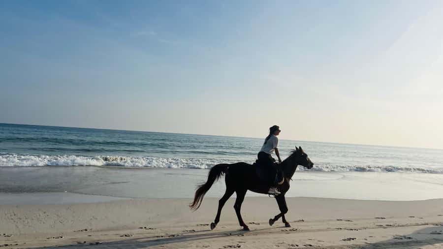 Salalah: Horse Riding by the Beach - What happens from hotel pickup to the beach