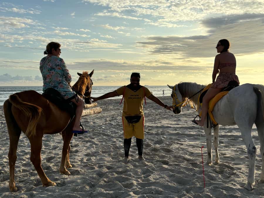 Salalah Horse Riding on the Beach optional Hotel Pick & Drop - Key points before you book