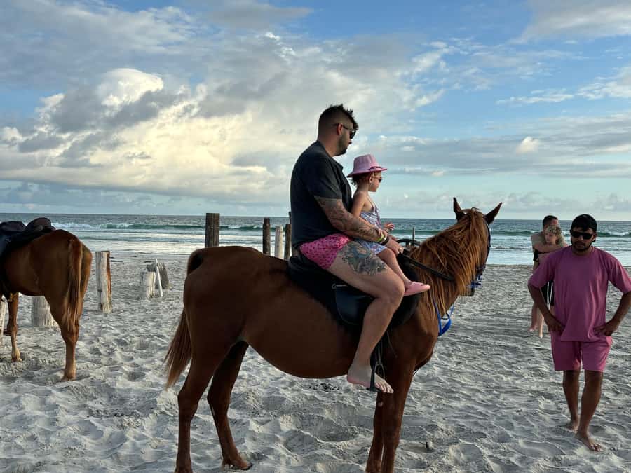 Salalah Horse Riding on the Beach optional Hotel Pick & Drop - Why this beach ride works so well at sunset
