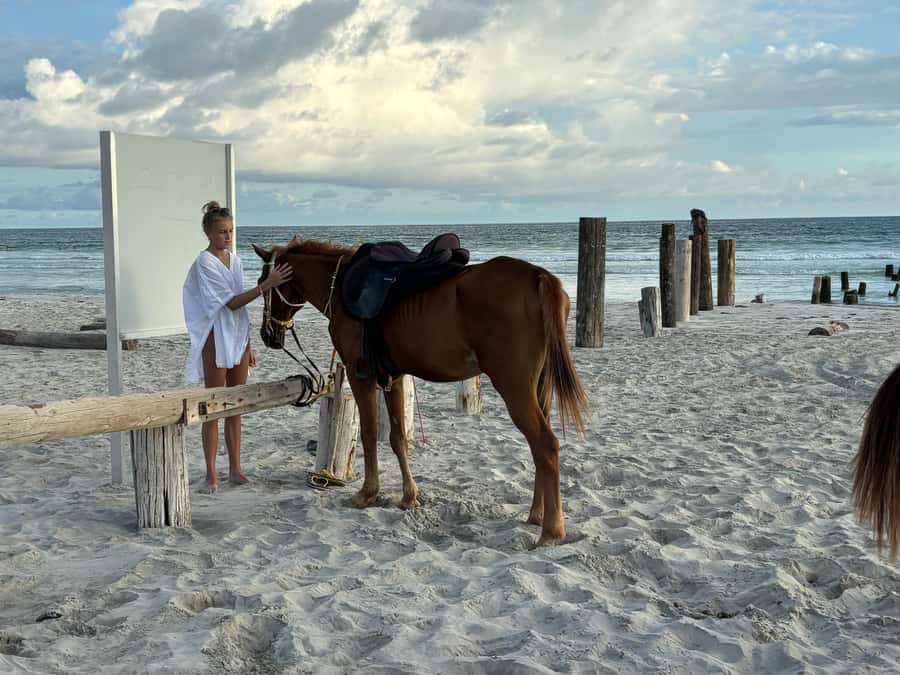 Salalah Horse Riding on the Beach optional Hotel Pick & Drop - Meeting the horses and getting ready to ride