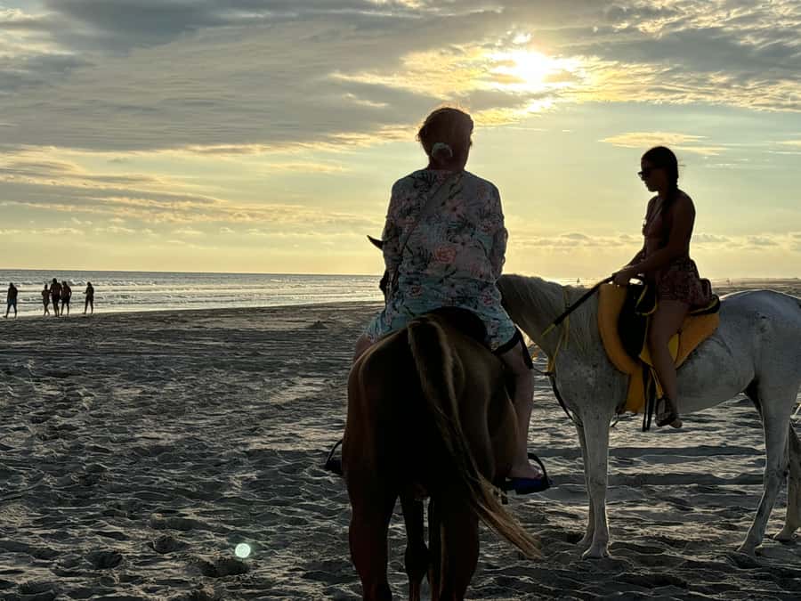 Salalah Horse Riding on the Beach optional Hotel Pick & Drop - The 30-minute option: short, simple, and easy to fit in