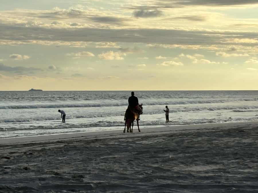 Salalah Horse Riding on the Beach optional Hotel Pick & Drop - The one-hour option: better value for the setting