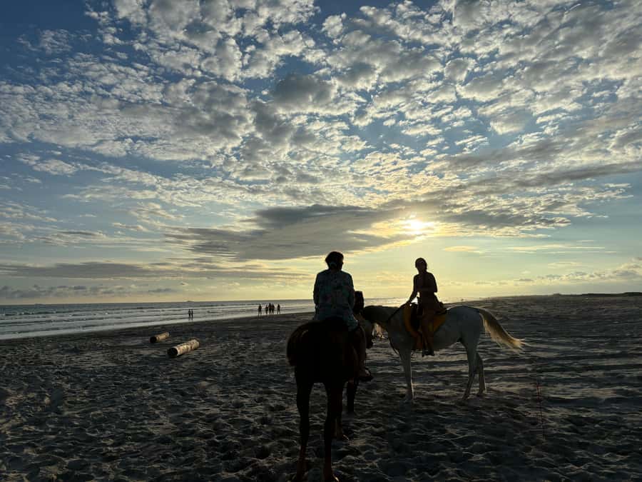 Salalah Horse Riding on the Beach optional Hotel Pick & Drop - What the ride itself feels like