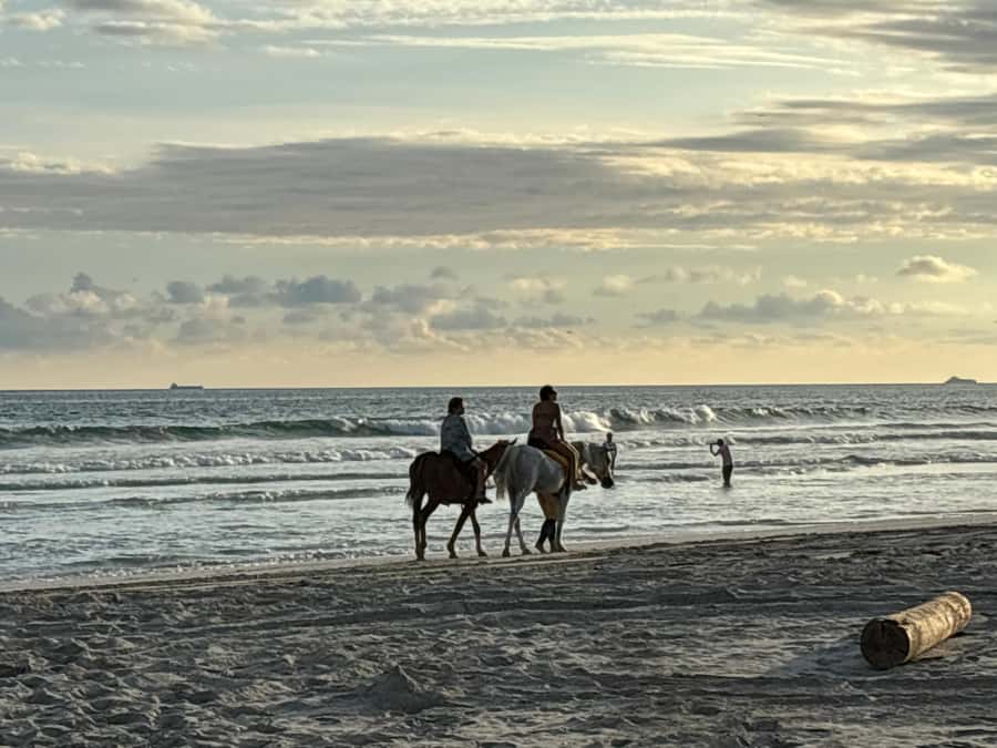 Salalah Horse Riding on the Beach optional Hotel Pick & Drop - Family suitability and age limits