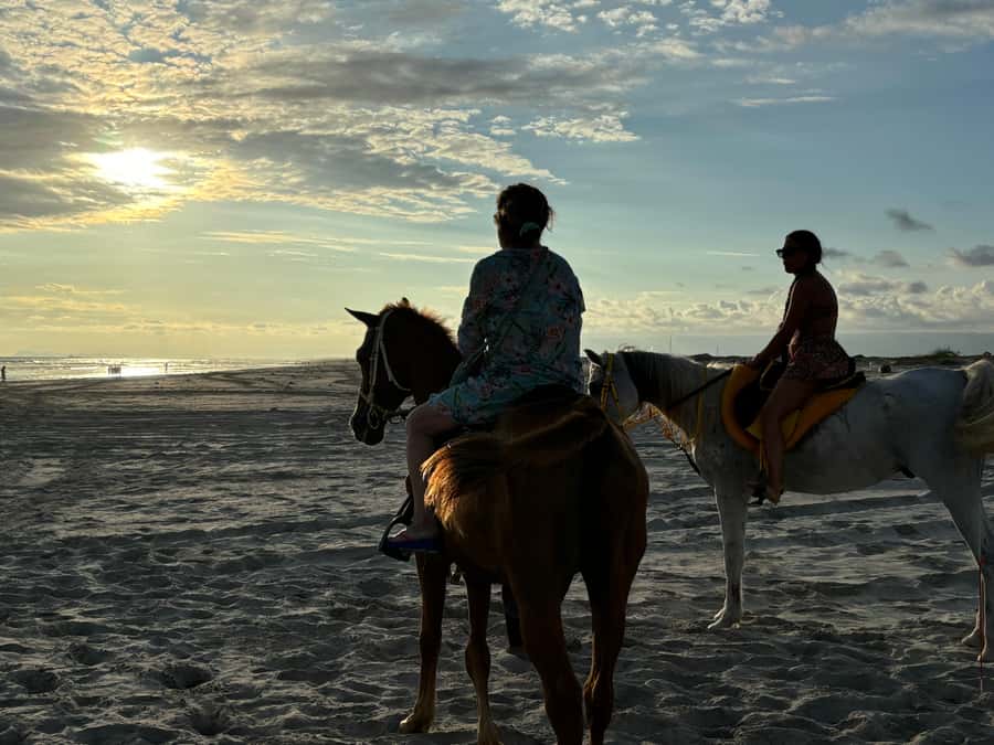 Salalah Horse Riding on the Beach optional Hotel Pick & Drop - Arriving at the beach club meeting point