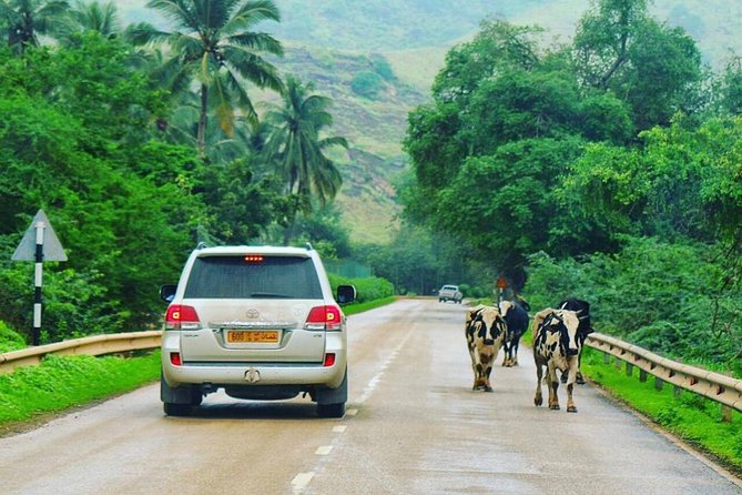 Salalah Mountain Safari Tour 2(Full Day Tour) - What the day is really about