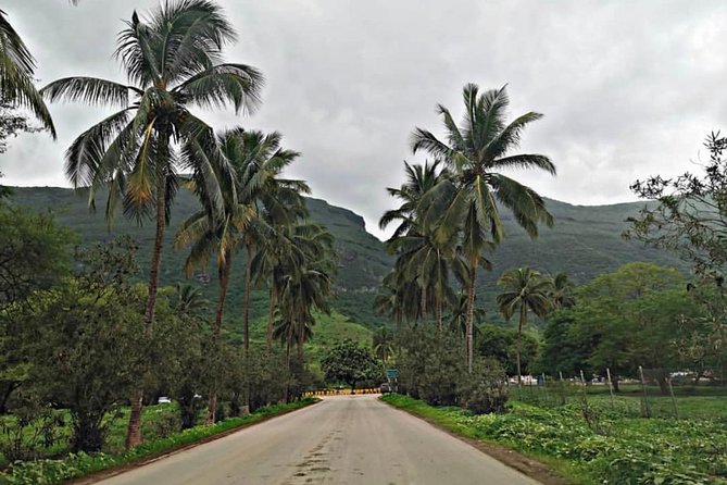 Salalah Mountain Safari Tour 2(Full Day Tour) - The Baobab Valley and its 35 giant trees
