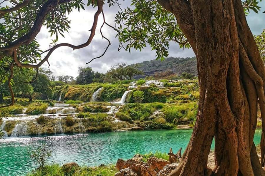 Salalah's Hidden Gems: East & West Adventure - Why this route works for one full day