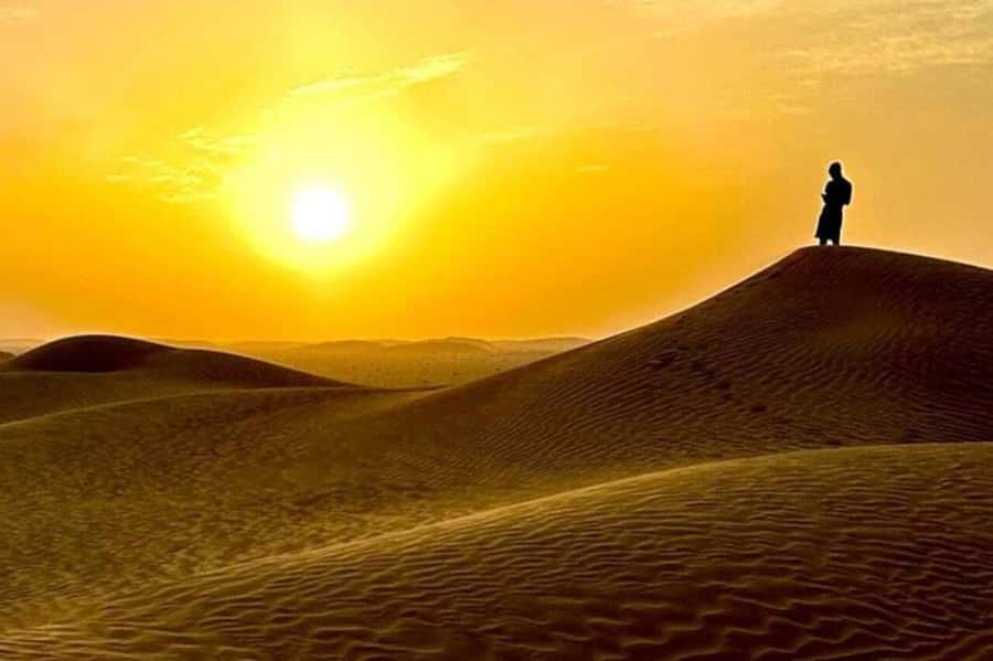 Salalah: Sunset desert safari tour in salalah(private tour) - Dune driving in Rub’ al Khali
