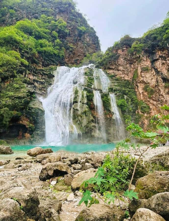 Salalah: Wadi Darbat, ,Teeq Cave - Baobou Trees Tour - Setting out from Salalah toward Taqah