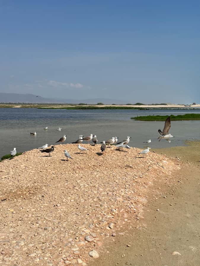 Salalah: Wadi Derbat, Jabal Samhan, & Sinkhole Private Tour - Taiq Cave and the great sinkhole