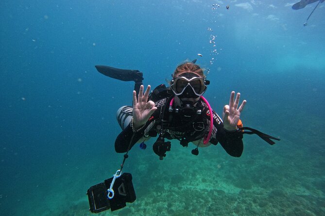 Scuba Diving Adventure in Musandam, Oman - Why Musandam makes a strong underwater day trip