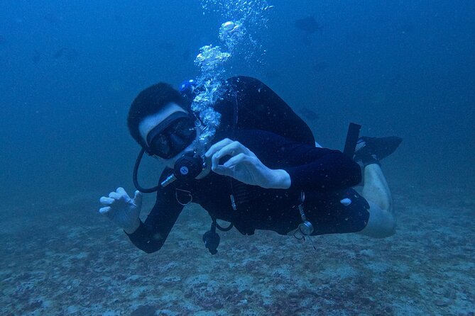 Scuba Diving Adventure in Musandam, Oman - First underwater site, with Lima Rock in the picture