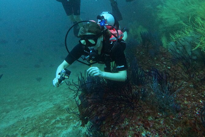 Scuba Diving Adventure in Musandam, Oman - The second site and why conditions matter