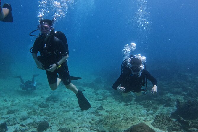 Scuba Diving Adventure in Musandam, Oman - The people who shape the experience