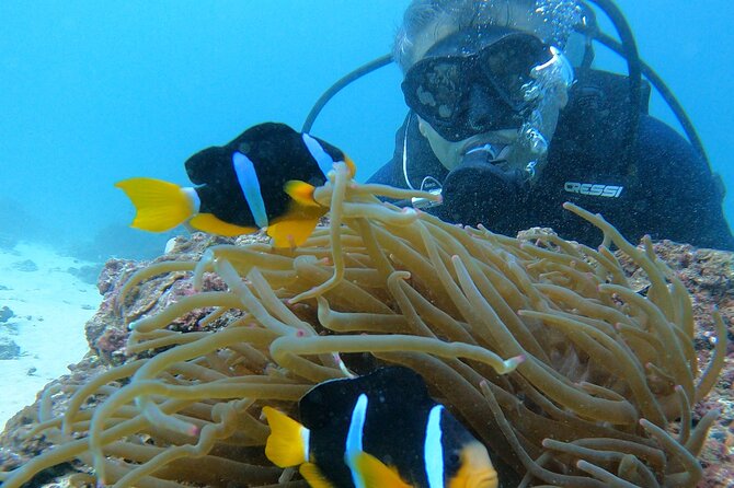 Scuba Diving in muscat - Key points to know before booking