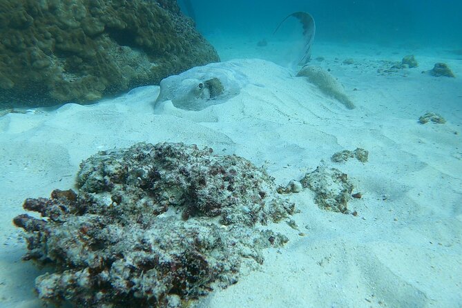 Scuba Diving in muscat - Starting at Al Seeb Port before the water opens up