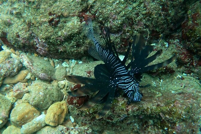 Scuba Diving in muscat - What the four-hour schedule feels like