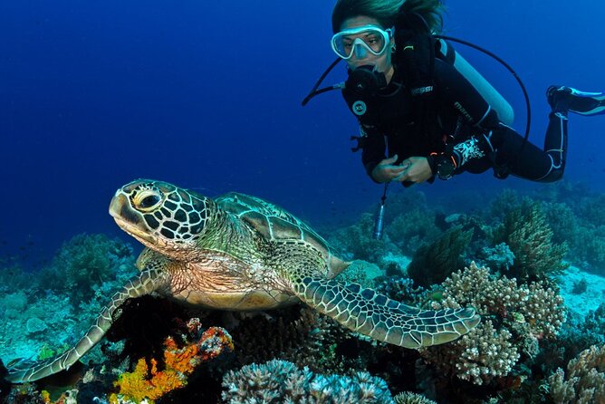 Scuba Diving to Dimaniyat Islands Muscat Oman - Key points before you book