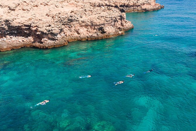Snorkeling Adventure to Daymaniat Islands - First snorkeling site: watching for turtles and rays